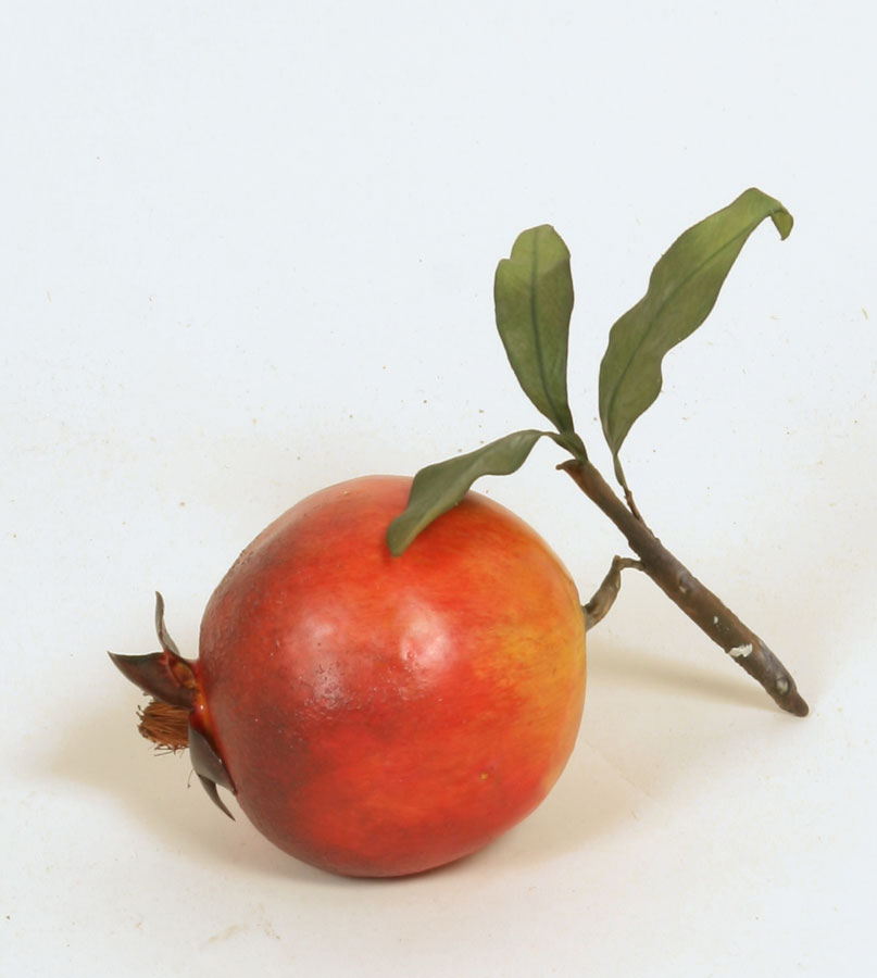pomegranate with leaves 