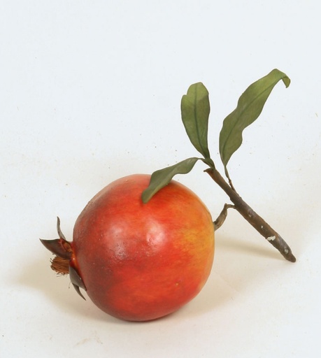 pomegranate with leaves 