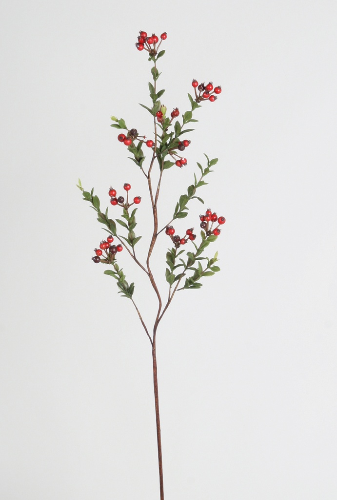 ilex spray 