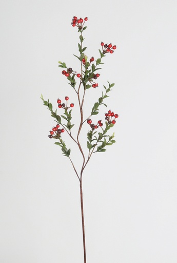 [6304] ilex spray 