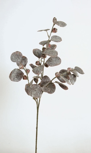 [7090] eucalyptus iced brown 