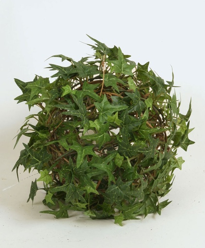 [5795] finger ivy ball 