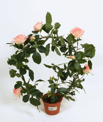 [5920] rose ring pink 