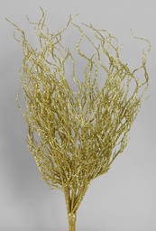 [5042] gold spray (Alternative 1)