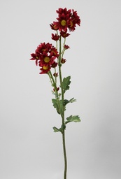 [6375-1] Daisy Spray (Alternative 1)