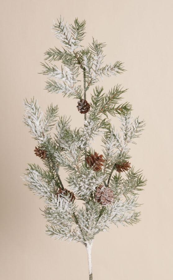 picea spray with cones and snow 