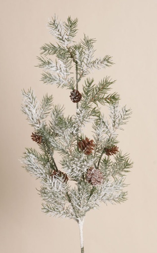 picea spray with cones and snow 