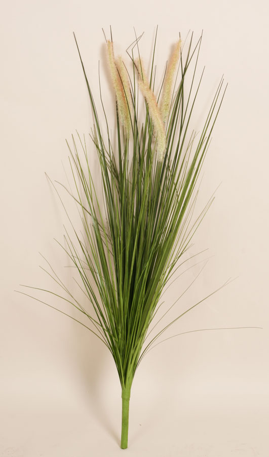 ornamental grass 