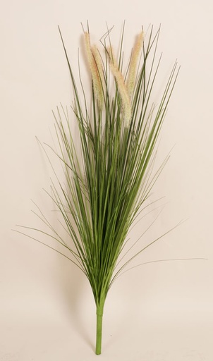 ornamental grass 