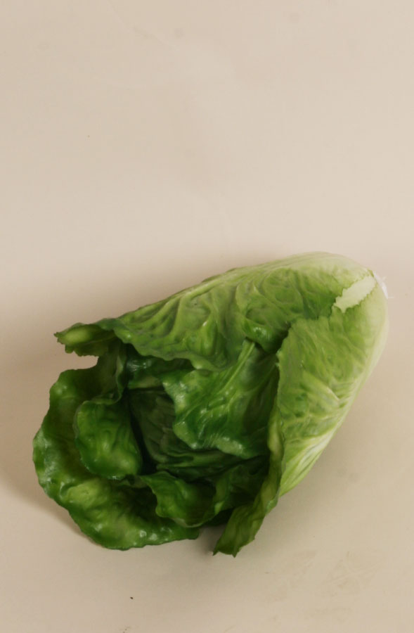 cabbage 