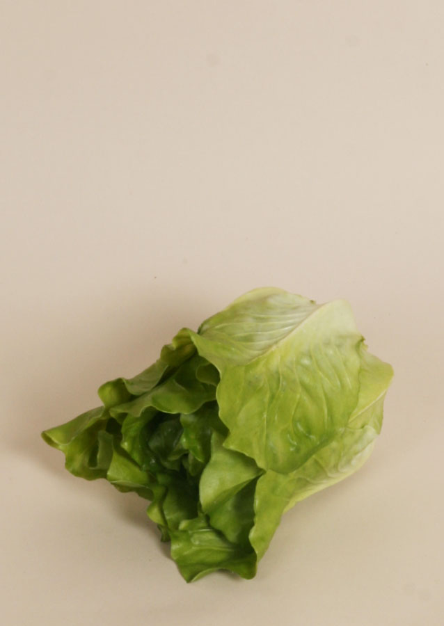 lettuce 