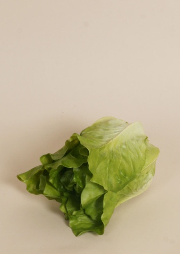 lettuce 