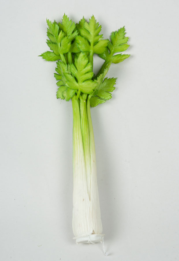 celery 