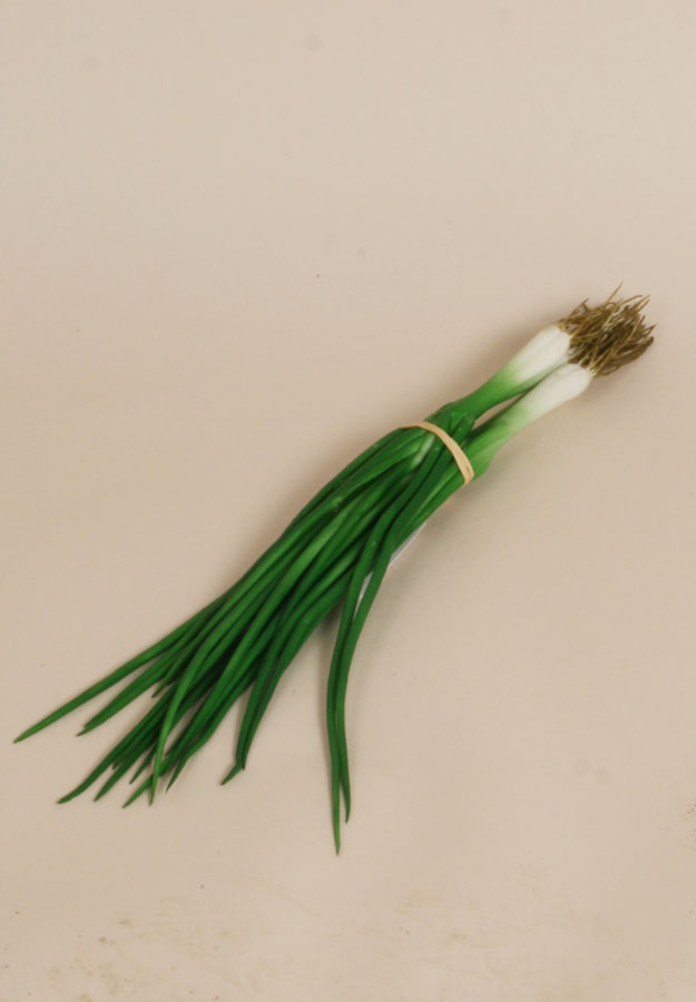 spring onion 
