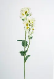 [6375-2] Daisy Spray (Alternative 2)