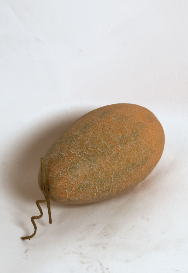 melon 