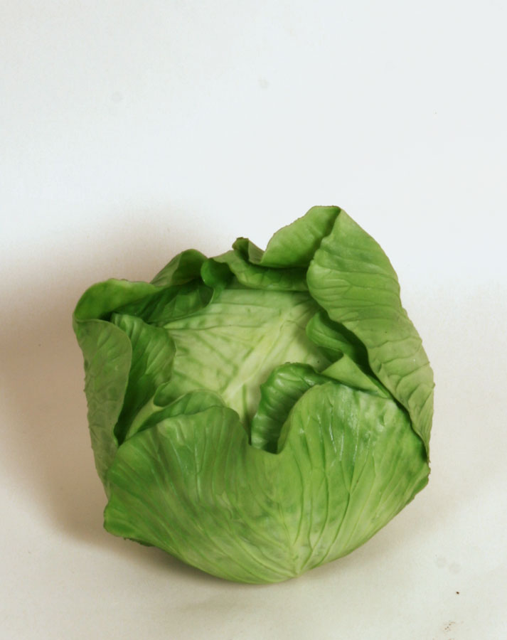 cabbage 