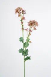 [6375-3] Daisy Spray (Alternative 3)