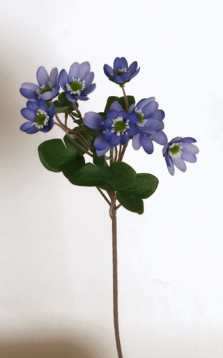 [7232] anemone blue 