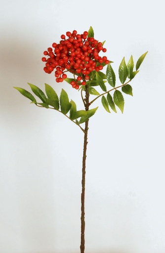 rowan berry 