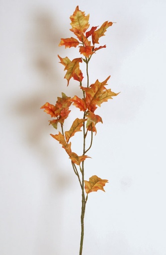 Oak Spray 