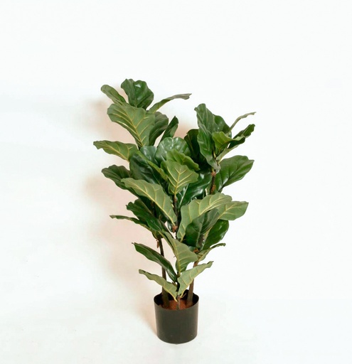 [1233-100] fiddle leaf 