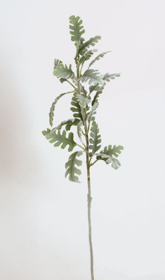 fern spray 