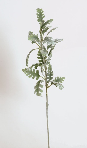 [7227] fern spray 