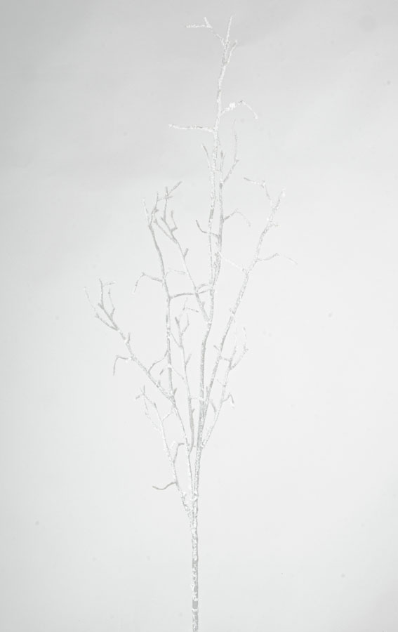 twig with snow 