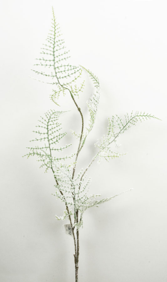 asparagus iced 