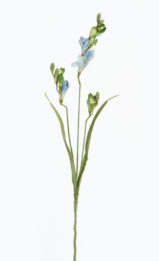 freezia light blue 