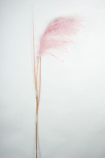 [6319] reed pink 