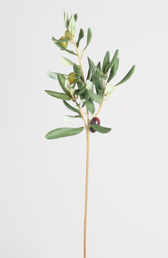 olive spray 