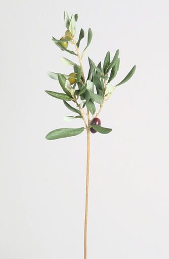 olive spray 