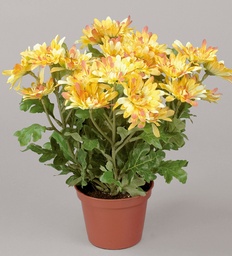 [110-1-36] Chrysanthemum (Alternative 2)