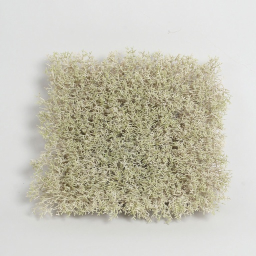 [5867] moss mat 