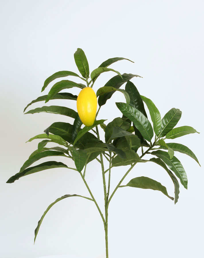 mango spray with fruit 