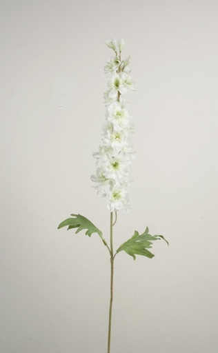 [2352] delphinium cream 