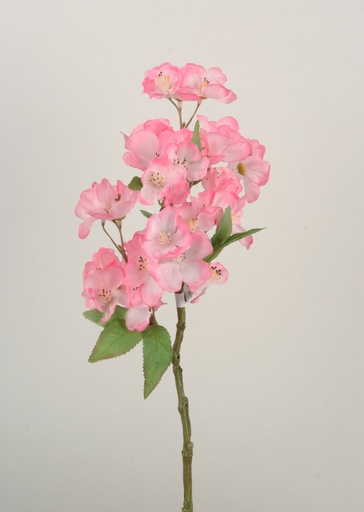 [7261] peach blossom pick 