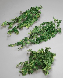 [130b] Ivy (Alternative 2)