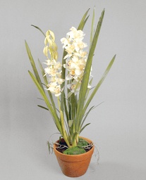[840-1] Orchid (Alternative 1)
