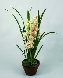 [840-2] Orchid (Alternative 2)