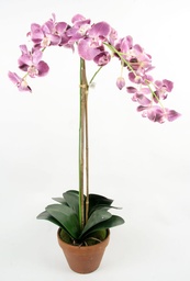 [842-6] Orchid (Alternative 6)