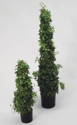 [1098-060] Ivy (Alternative 1)