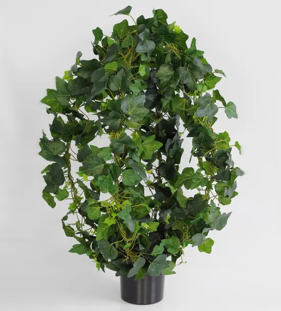 Ivy arrangement 
