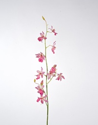 [6829] Orchid (Alternative 2)