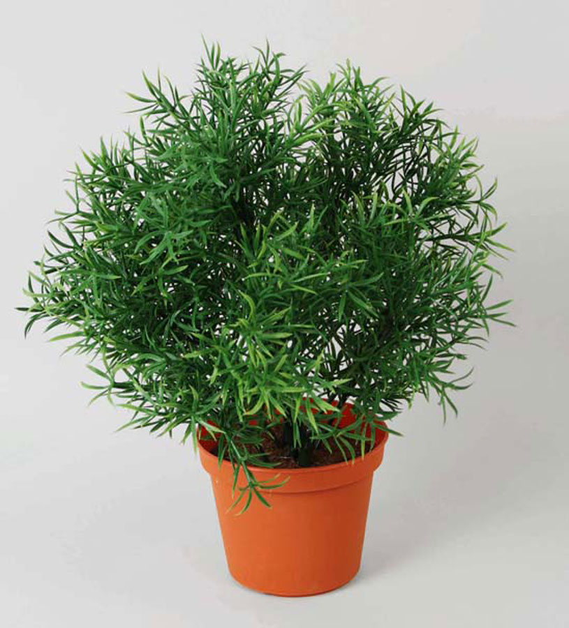 mini grass bush 
