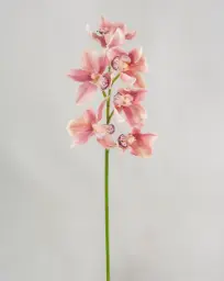 [3106] Orchid (Alternative 3)