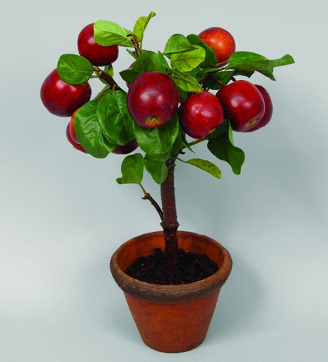 [9680] apple branch pot 