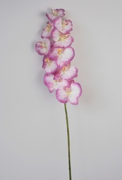 [6629] Orchid (Alternative 1)